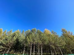 -塞罕坝国家级自然保护区