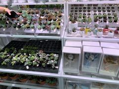 -KKV(深圳宏发大仟里店)