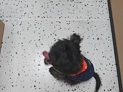 -瑞派康怡24h宠物医院·犬猫医疗中心·微创绝育(瑞景分院)