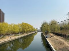 -大望京公园