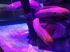 -沈阳海洋探索中心