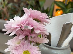 -Simple Yummy简单美味(上邦百汇城店)