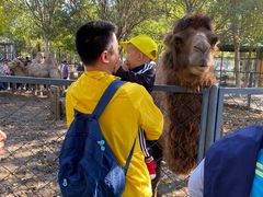 -长白岛森林公园