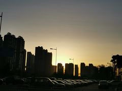 -红满天红焖羊排(大西菜行店)