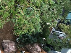 -宁波之星奔驰4S店(海曙店)