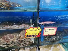 水产区-蚝专家(北滘店)