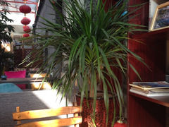 iphone_upload_pic-山与海文化酒店(芙蓉街大明湖店)