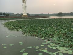 -白洋淀景区