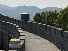 -黄贤森林公园