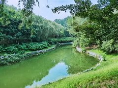 -大兴滨河森林公园