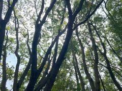 -同里国家湿地公园