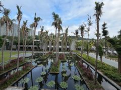 -半山半岛洲际度假酒店·观海廊