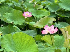 -梁鸿国家湿地公园