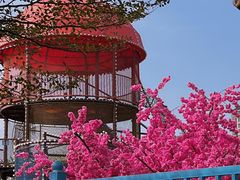 -汕头星城湾欢乐世界