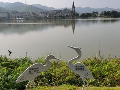 -美的鹭湖森林度假区