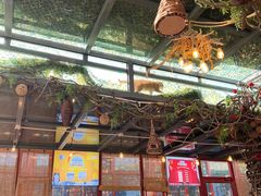 -有喜胶东小馆(超极合生汇太申祥和店)