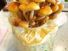 -烹然四季椰子鸡火锅(团结湖总店)