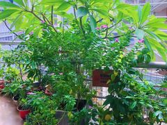 -十二舍·湯物素煮(江泰潤政店)