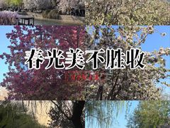 -元大都城垣遗址公园