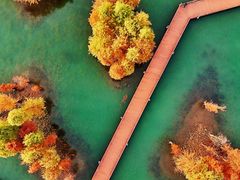 -贡湖湾湿地公园