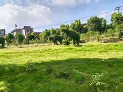 -泉州海丝野生动物世界