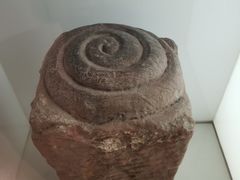 -乐山市博物馆