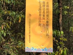 -壹华里市集