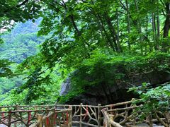 -洛阳白云山景区