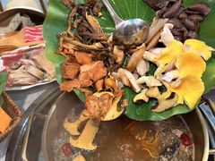 -大理董·董家小厨野生菌火锅(古城旗舰店)