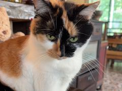 -BUND·FIVE外滩5号(天际店)