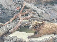 -珠海长隆海洋王国