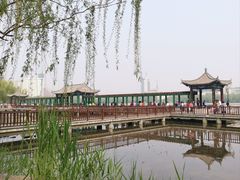 -莲花池公园