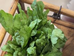 茼蒿-芦月轩羊蝎子(北蜂窝店)