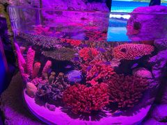 -暹罗海洋世界