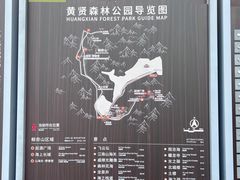 -黄贤森林公园