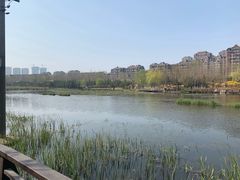 -前关湿地公园