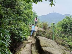 -南山植物园