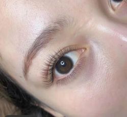 -BELLAREAL新美社