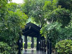 -三江森林温泉度假区