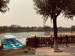 -杨柳青庄园