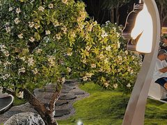 -深圳湾万象城(南山店)