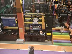 -Tenker Club弹刻极限主题公园 · 蹦床 · 团建 · 生日派对(大关店)
