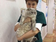 -瑞派康怡24h宠物医院·犬猫医疗中心·微创绝育(瑞景分院)