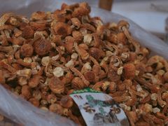 -云南木水花野生菌交易中心