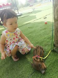 -上美四季动物农场