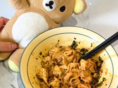 -珍味马边曹五抄手