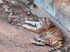 -西霞口神雕山野生动物世界
