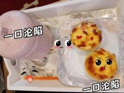 -诗安国际母婴会所(香坊区店)