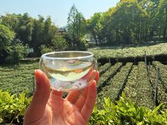 -野蔓果·山野菜(西湖景区·龙井茶田店)