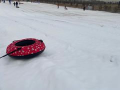 -绿野森林乐园冰雪季